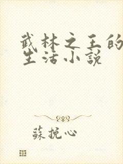 武林之王的退隐生活小说