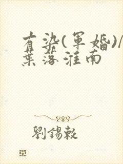 有染(军婚)/叶落淮南