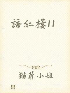 诱红楼11