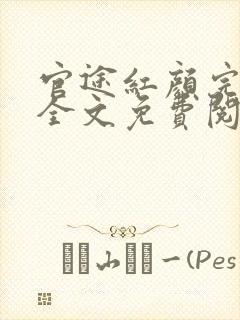 官途红颜完整版全文免费阅读