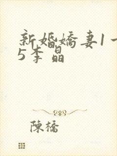 新婚娇妻1一25李晶