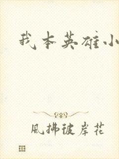 我本英雄小说封面