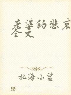 老婆的悲哀小说全文封面