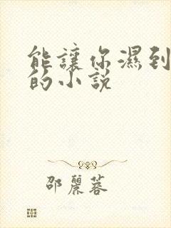 能让你湿到不行的小说