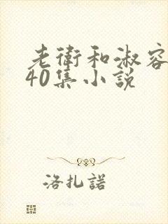 老卫和淑容1-40集小说