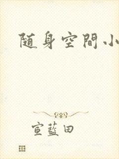 随身空间小说