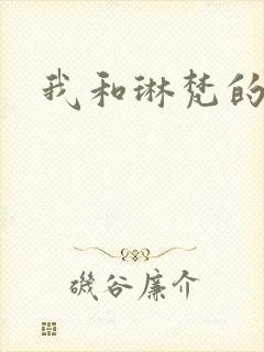 我和琳梵的故事封面
