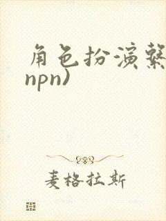 角色扮演系统(npn)