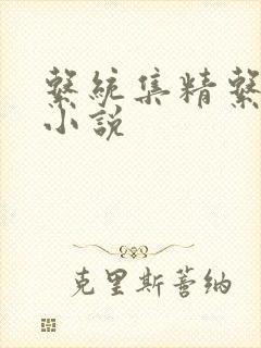 系统集精系统 小说