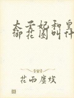 太子妃和皇帝在御花园叫什么小说