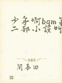 少年啊bgm第二部小说叫什么