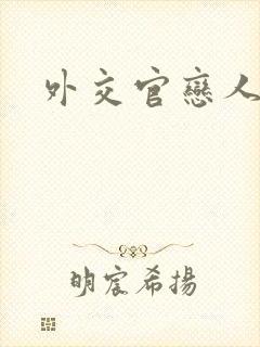 外交官恋人小说封面