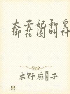 太子妃和皇帝在御花园叫什么小说