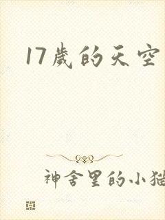 17岁的天空