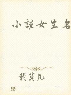 小说女生名字
