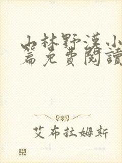 山林野汉小说全篇免费阅读封面