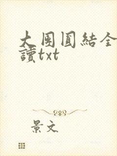 大团圆结全文阅读txt