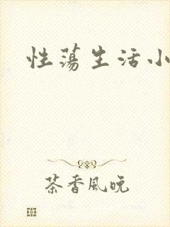 性荡生活小说封面