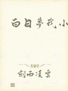 白日梦我小说