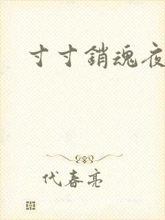 寸寸销魂夜春光