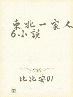 东北一家人1一6小说封面