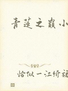 青莲之巅小说封面