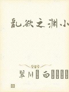 乱欲之渊小说封面