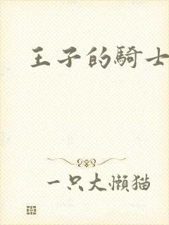 王子的骑士封面