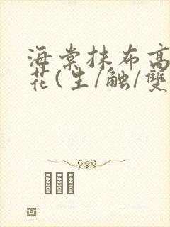 海棠抹布高岭之花(生/触/双)