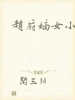 赵府嫡女小说封面