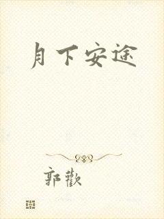 月下安途