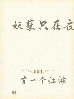 妖孽只在夜里哭封面