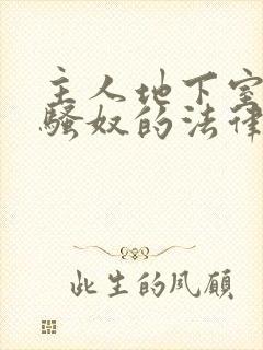 主人地下室惩罚骚奴的法律后果封面