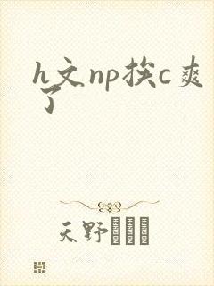 h文np挨c爽了