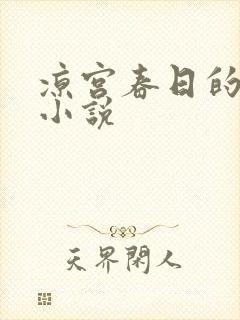 凉宫春日的忧郁小说