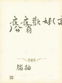 夜夜欢好(高h)公翁