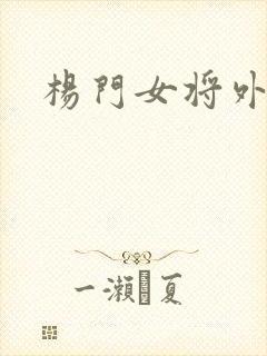 杨门女将外传