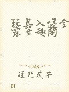 玩具入侵金银花露笔趣阁