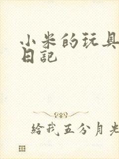 小米的玩具羞辱日记封面