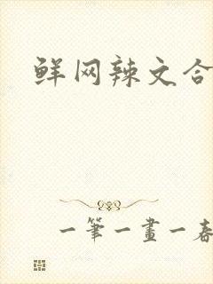 鲜网辣文合集封面