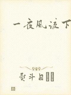 一夜风流下载封面