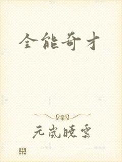 全能奇才封面