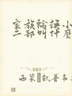 家族轮换小说第二部叫什么名字