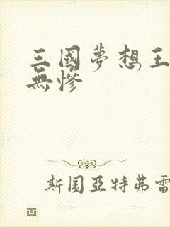 三国梦想王元姬无惨