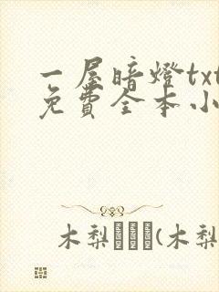 一屋暗灯txt免费全本小说电子书