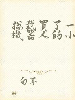 总裁买了一个男机器人的小说