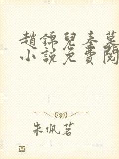 赵锦儿秦慕修的小说免费阅读全文封面