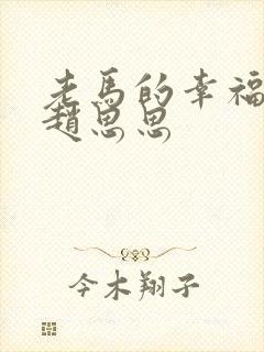 老马的幸福生活赵思思