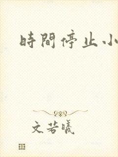 时间停止小说封面