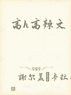 高h高辣文